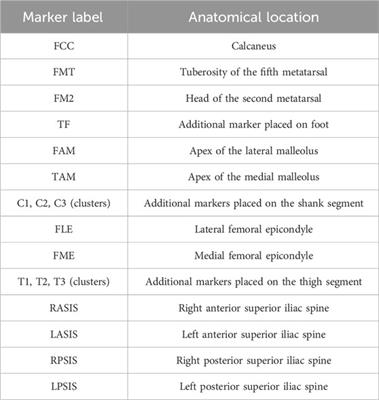 Muscle recruitment during gait in individuals with unilateral transfemoral amputation due to trauma compared to able-bodied controls